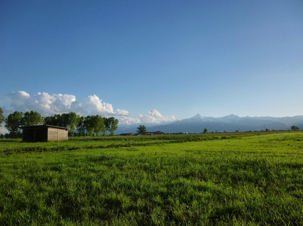 Tenuta Ajrale Vigone エクステリア 写真